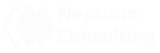 Neptuno Consulting